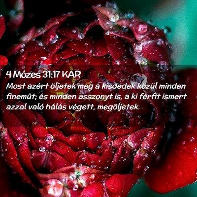 Picture 02 - 4 Mózes 31:17 KAR - Most azért öljetek meg a kisdedek közül - Bible Verse Picture