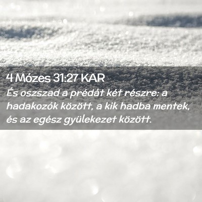 Picture 02 - 4 Mózes 31:27 KAR - És oszszad a prédát két részre: a hadakozók - Bible Verse Picture