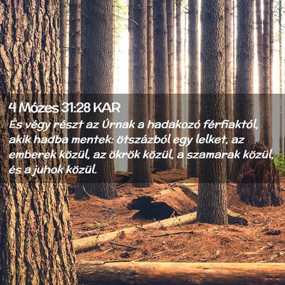 Picture 02 - 4 Mózes 31:28 KAR - És végy részt az Úrnak a hadakozó - Bible Verse Picture