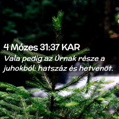 Picture 02 - 4 Mózes 31:37 KAR - Vala pedig az Úrnak része a juhokból: hatszáz - Bible Verse Picture