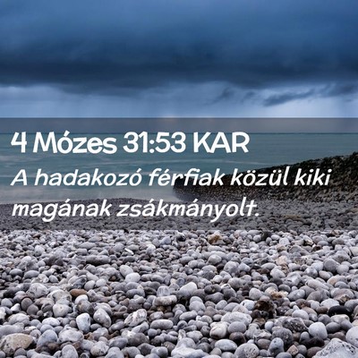 Picture 02 - 4 Mózes 31:53 KAR - A hadakozó férfiak közül kiki magának - Bible Verse Picture