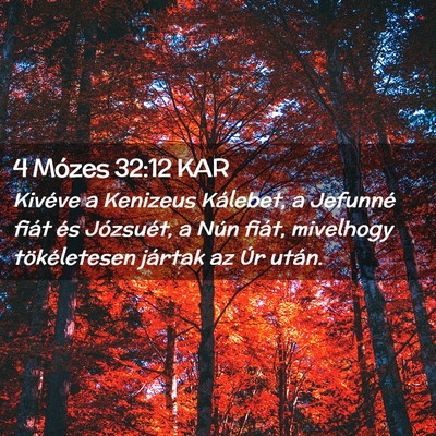Picture 02 - 4 Mózes 32:12 KAR - Kivéve a Kenizeus Kálebet, a Jefunné fiát és - Bible Verse Picture