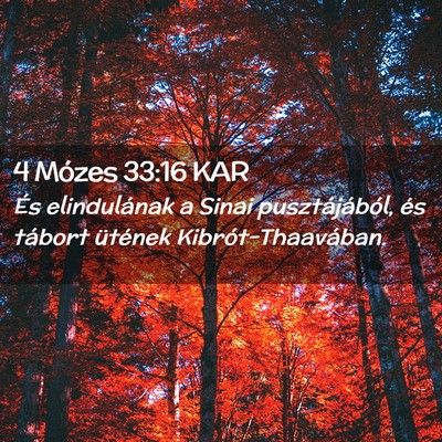 Picture 02 - 4 Mózes 33:16 KAR - És elindulának a Sinai pusztájából, és - Bible Verse Picture
