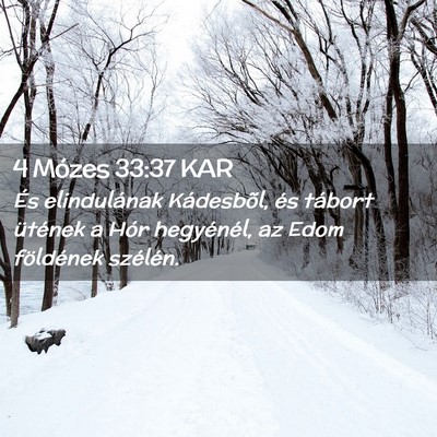 Picture 02 - 4 Mózes 33:37 KAR - És elindulának Kádesbõl, és tábort ütének - Bible Verse Picture