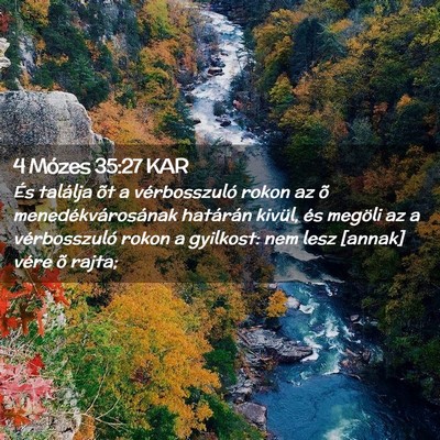 Picture 02 - 4 Mózes 35:27 KAR - És találja õt a vérbosszuló rokon az õ - Bible Verse Picture