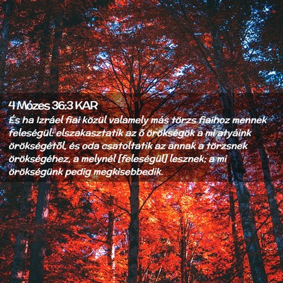 Picture 02 - 4 Mózes 36:3 KAR - És ha Izráel fiai közül valamely más törzs - Bible Verse Picture