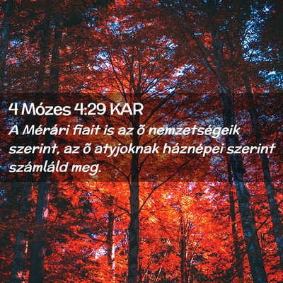 Picture 02 - 4 Mózes 4:29 KAR - A Mérári fiait is az õ nemzetségeik szerint, - Bible Verse Picture