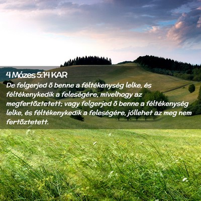 Picture 02 - 4 Mózes 5:14 KAR - De felgerjed õ benne a féltékenység lelke, - Bible Verse Picture