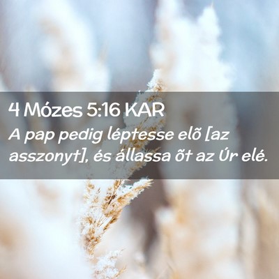 Picture 02 - 4 Mózes 5:16 KAR - A pap pedig léptesse elõ [az asszonyt], és - Bible Verse Picture