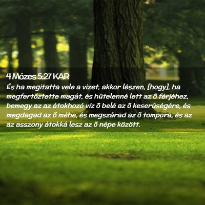 Picture 02 - 4 Mózes 5:27 KAR - És ha megitatta vele a vizet, akkor lészen, - Bible Verse Picture
