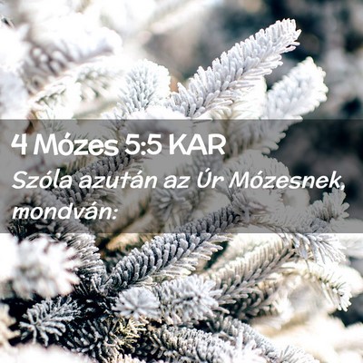 Picture 02 - 4 Mózes 5:5 KAR - Szóla azután az Úr Mózesnek, - Bible Verse Picture