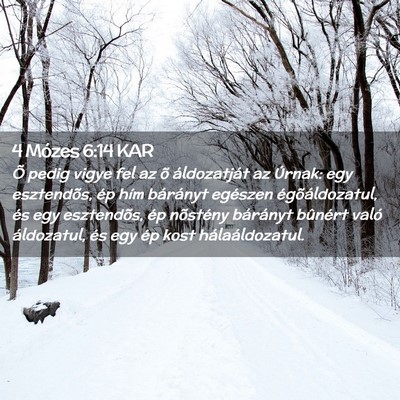 Picture 02 - 4 Mózes 6:14 KAR - Õ pedig vigye fel az õ áldozatját az Úrnak: - Bible Verse Picture