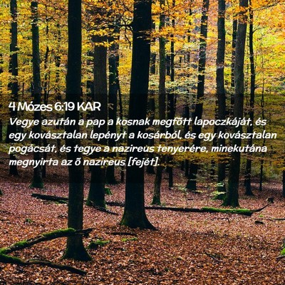 Picture 02 - 4 Mózes 6:19 KAR - Vegye azután a pap a kosnak megfõtt - Bible Verse Picture