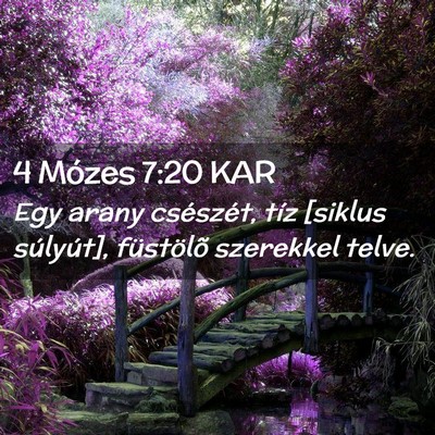 Picture 02 - 4 Mózes 7:20 KAR - Egy arany csészét, tíz [siklus súlyút], - Bible Verse Picture