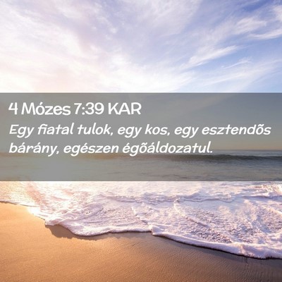 Picture 02 - 4 Mózes 7:39 KAR - Egy fiatal tulok, egy kos, egy esztendõs - Bible Verse Picture