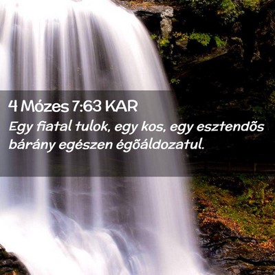 Picture 02 - 4 Mózes 7:63 KAR - Egy fiatal tulok, egy kos, egy esztendõs - Bible Verse Picture