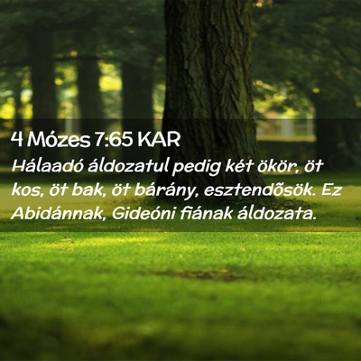 Picture 02 - 4 Mózes 7:65 KAR - Hálaadó áldozatul pedig két ökör, öt kos, - Bible Verse Picture