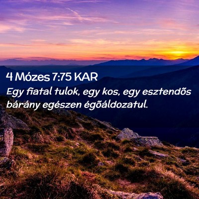 Picture 02 - 4 Mózes 7:75 KAR - Egy fiatal tulok, egy kos, egy esztendõs - Bible Verse Picture