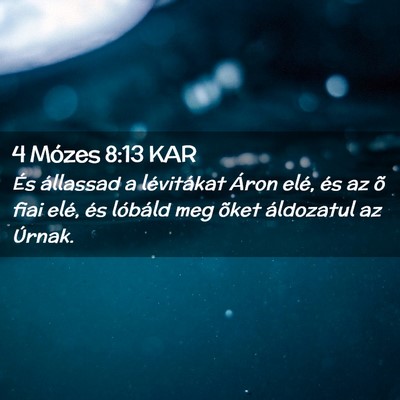 Picture 02 - 4 Mózes 8:13 KAR - És állassad a lévitákat Áron elé, és az õ - Bible Verse Picture