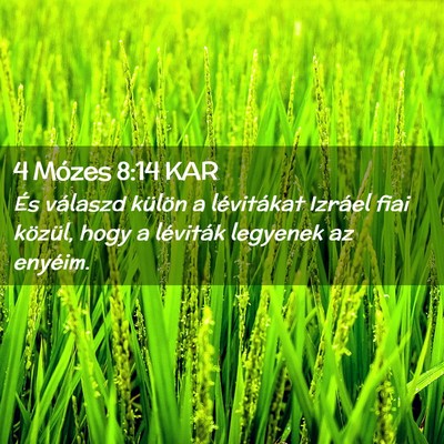 Picture 02 - 4 Mózes 8:14 KAR - És válaszd külön a lévitákat Izráel fiai - Bible Verse Picture