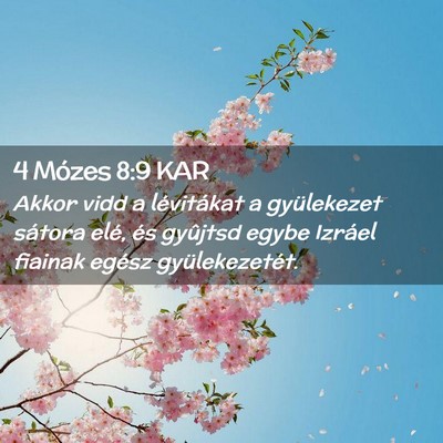Picture 02 - 4 Mózes 8:9 KAR - Akkor vidd a lévitákat a gyülekezet sátora - Bible Verse Picture