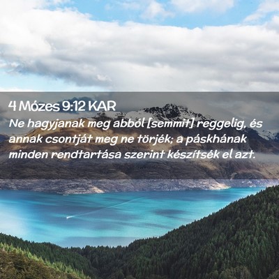 Picture 02 - 4 Mózes 9:12 KAR - Ne hagyjanak meg abból [semmit] reggelig, és - Bible Verse Picture
