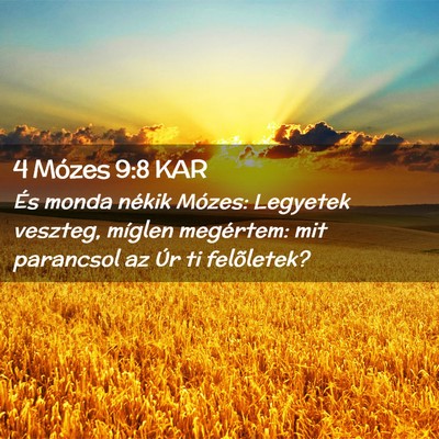 Picture 02 - 4 Mózes 9:8 KAR - És monda nékik Mózes: Legyetek veszteg, - Bible Verse Picture