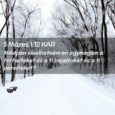 Picture 02 - 5 Mózes 1:12 KAR - Miképen viselhetném én egymagam a terheiteket - Bible Verse Picture