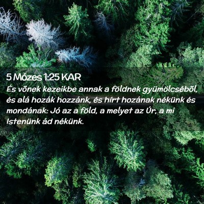 Picture 02 - 5 Mózes 1:25 KAR - És võnek kezeikbe annak a földnek - Bible Verse Picture