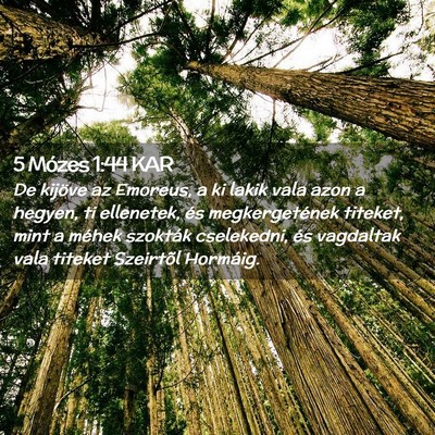 Picture 02 - 5 Mózes 1:44 KAR - De kijöve az Emoreus, a ki lakik vala azon a - Bible Verse Picture