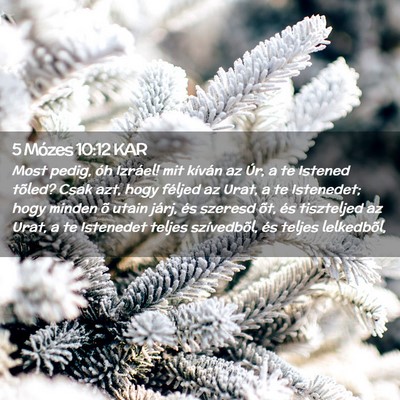 Picture 02 - 5 Mózes 10:12 KAR - Most pedig, óh Izráel! mit kíván az Úr, a te - Bible Verse Picture