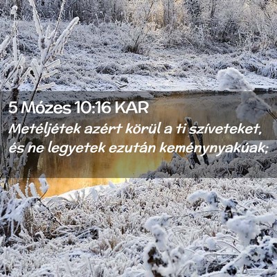 Picture 02 - 5 Mózes 10:16 KAR - Metéljétek azért körül a ti szíveteket, és - Bible Verse Picture