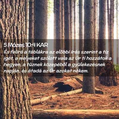 Picture 02 - 5 Mózes 10:4 KAR - És felírá a táblákra az elõbbi írás - Bible Verse Picture