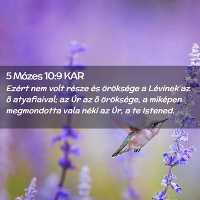 Picture 02 - 5 Mózes 10:9 KAR - Ezért nem volt része és öröksége a Lévinek - Bible Verse Picture