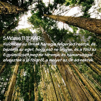 Picture 02 - 5 Mózes 11:17 KAR - Különben az Úrnak haragja felgerjed reátok, - Bible Verse Picture