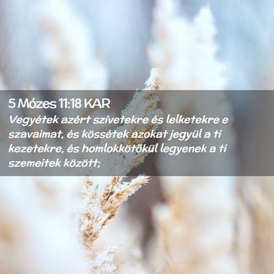 Picture 02 - 5 Mózes 11:18 KAR - Vegyétek azért szívetekre és lelketekre e - Bible Verse Picture