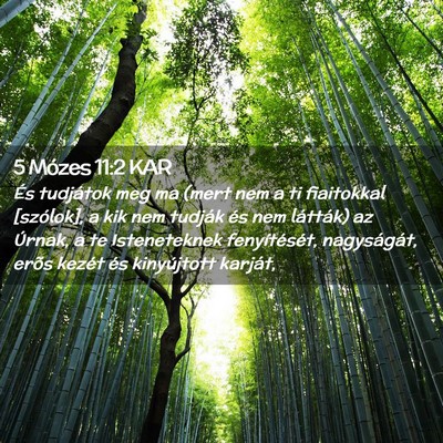 Picture 02 - 5 Mózes 11:2 KAR - És tudjátok meg ma (mert nem a ti fiaitokkal - Bible Verse Picture