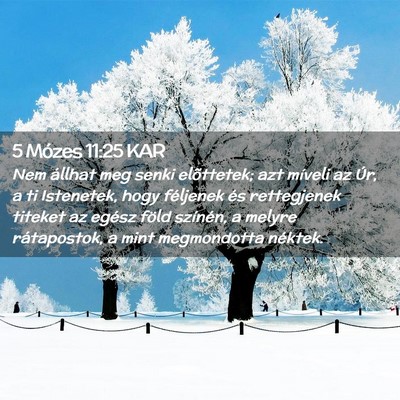 Picture 02 - 5 Mózes 11:25 KAR - Nem állhat meg senki elõttetek; azt míveli az - Bible Verse Picture