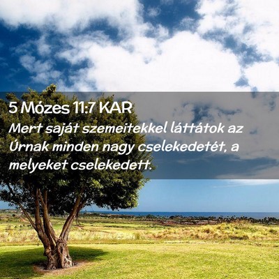 Picture 02 - 5 Mózes 11:7 KAR - Mert saját szemeitekkel láttátok az Úrnak - Bible Verse Picture