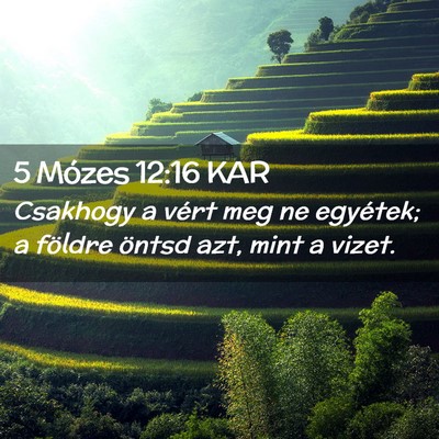 Picture 02 - 5 Mózes 12:16 KAR - Csakhogy a vért meg ne egyétek; a földre - Bible Verse Picture