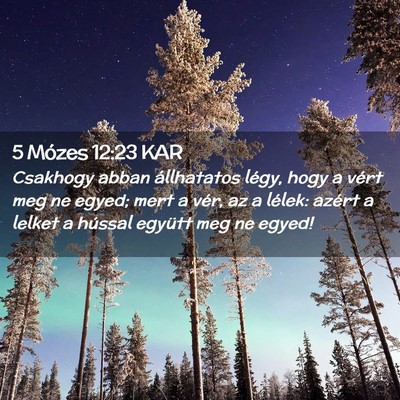 Picture 02 - 5 Mózes 12:23 KAR - Csakhogy abban állhatatos légy, hogy a vért - Bible Verse Picture