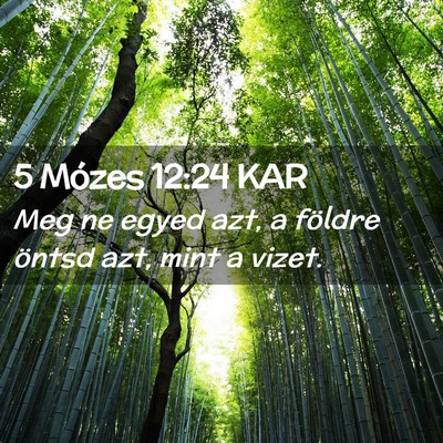 Picture 02 - 5 Mózes 12:24 KAR - Meg ne egyed azt, a földre öntsd azt, mint a - Bible Verse Picture