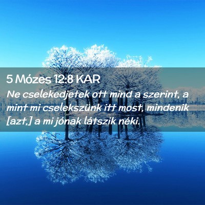 Picture 02 - 5 Mózes 12:8 KAR - Ne cselekedjetek ott mind a szerint, a mint mi - Bible Verse Picture
