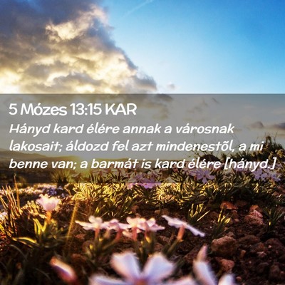 Picture 02 - 5 Mózes 13:15 KAR - Hányd kard élére annak a városnak lakosait; - Bible Verse Picture