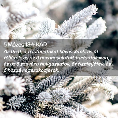 Picture 02 - 5 Mózes 13:4 KAR - Az Urat, a ti Isteneteket kövessétek, és õt - Bible Verse Picture