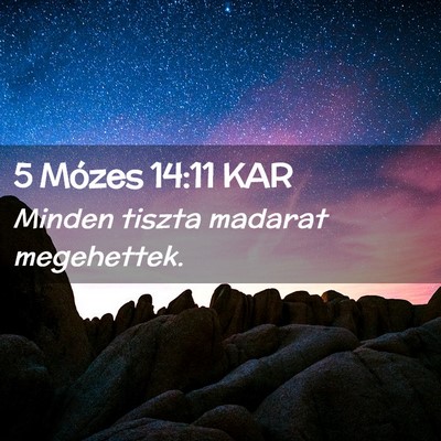 Picture 02 - 5 Mózes 14:11 KAR - Minden tiszta madarat - Bible Verse Picture
