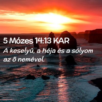 Picture 02 - 5 Mózes 14:13 KAR - A keselyû, a héja és a sólyom az õ - Bible Verse Picture