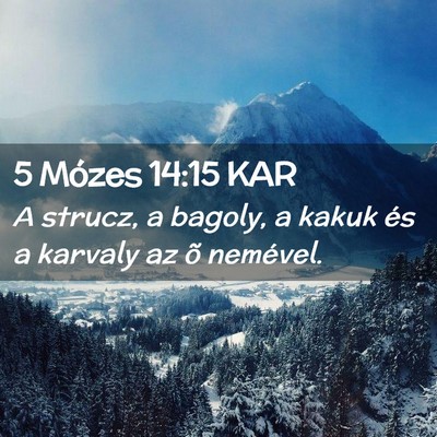 Picture 02 - 5 Mózes 14:15 KAR - A strucz, a bagoly, a kakuk és a karvaly az õ - Bible Verse Picture