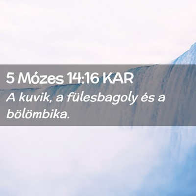 Picture 02 - 5 Mózes 14:16 KAR - A kuvik, a fülesbagoly és a - Bible Verse Picture