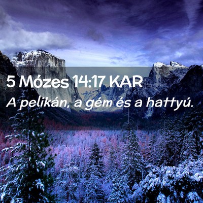 Picture 02 - 5 Mózes 14:17 KAR - A pelikán, a gém és a - Bible Verse Picture